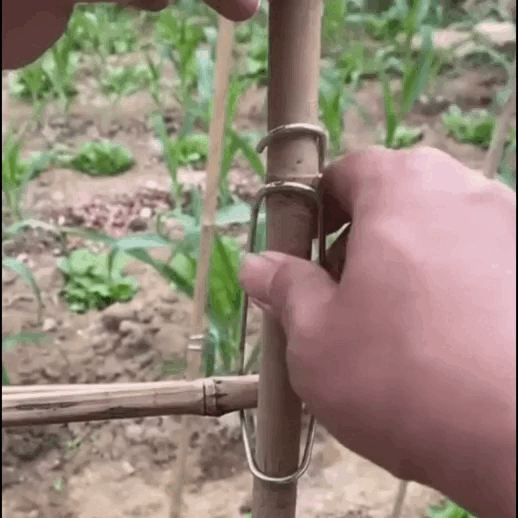 ¡Adiós plantas caídas! Sujeta, protege y maximiza tu cosecha: EcoClip PRO® x 60 unds