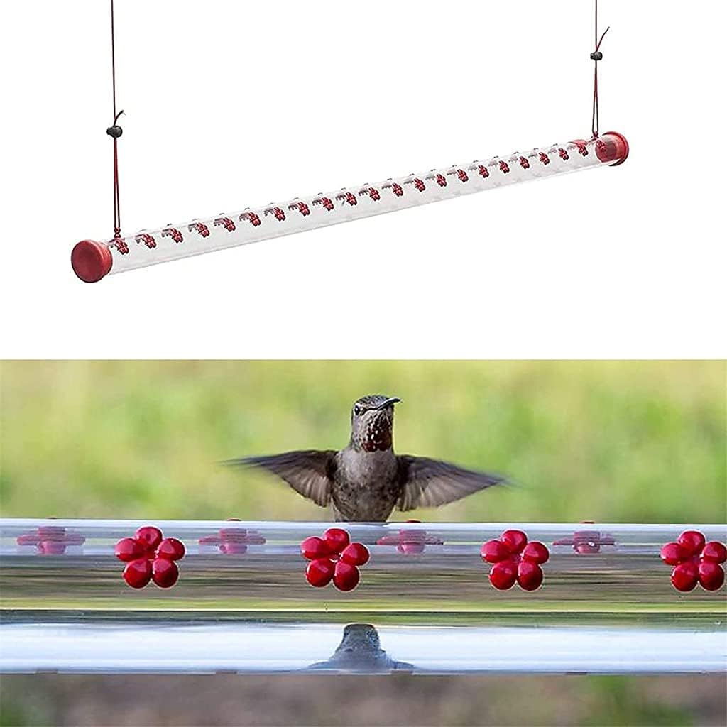 Barra para Colibríes al Exterior: Tu Ventana al Milagro de la Naturaleza