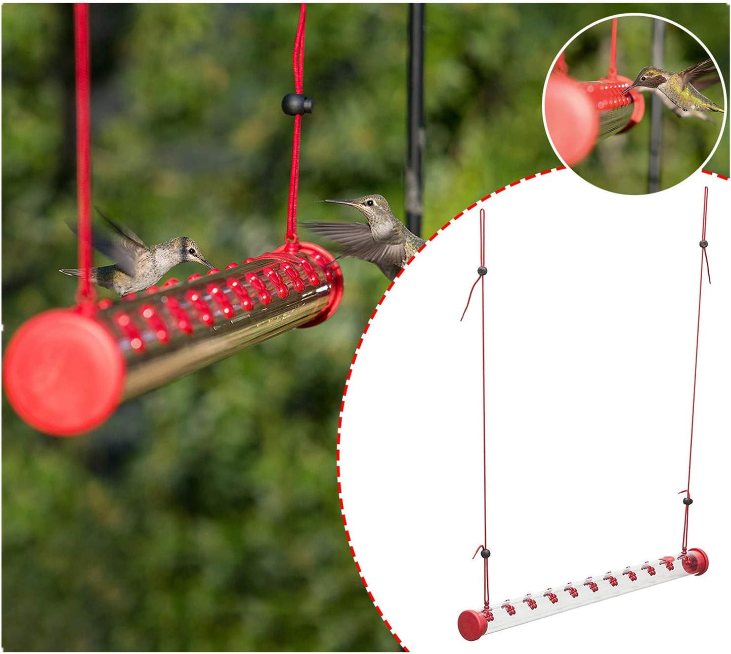 Barra para Colibríes al Exterior: Tu Ventana al Milagro de la Naturaleza