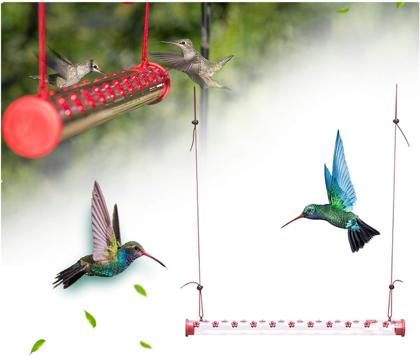 Barra para Colibríes al Exterior: Tu Ventana al Milagro de la Naturaleza