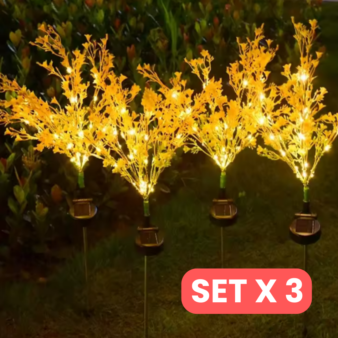 Ilumina tus noches en el jardín con la belleza de la luz dorada solar SET X 3