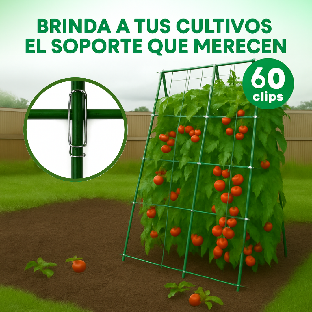¡Adiós plantas caídas! Sujeta, protege y maximiza tu cosecha: EcoClip PRO® x 60 unds