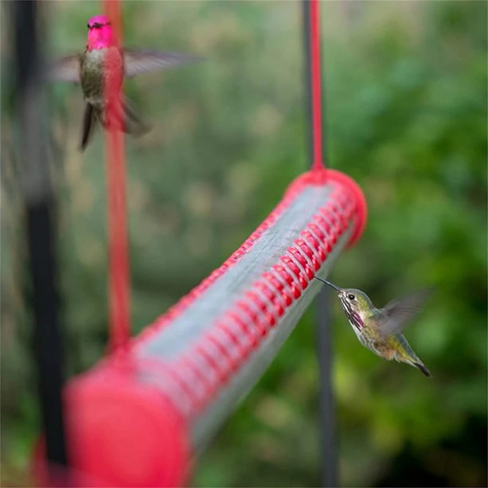 Barra para Colibríes al Exterior: Tu Ventana al Milagro de la Naturaleza