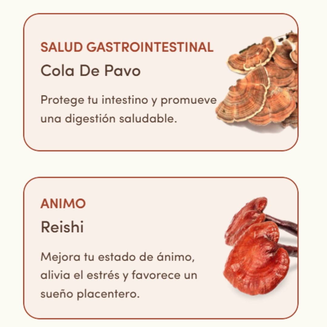 Energía, Concentración, Digestión e Inmunidad en 1 solo producto!! PAGA 1 Y LLEVA 2