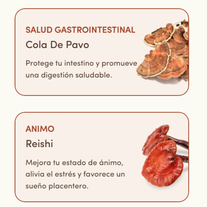 Energía, Concentración, Digestión e Inmunidad en 1 solo producto!! PAGA 1 Y LLEVA 2