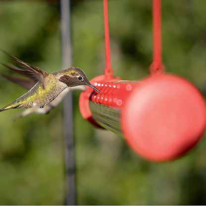 Barra para Colibríes al Exterior: Tu Ventana al Milagro de la Naturaleza