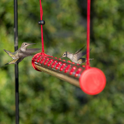 Barra para Colibríes al Exterior: Tu Ventana al Milagro de la Naturaleza