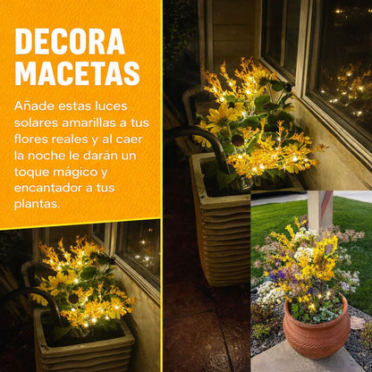 Luces Solares de Jardín Set X3 unidades: Flores que se Encienden Solas al Anochecer