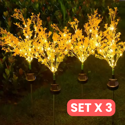 Ilumina tus noches en el jardín con la belleza de la luz dorada solar SET X 3