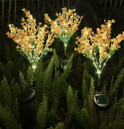 Ilumina tus noches en el jardín con la belleza de la luz dorada solar SET X 3