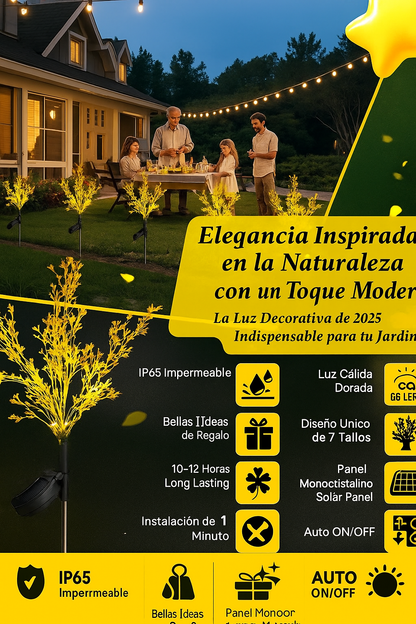 Ilumina tus noches en el jardín con la belleza de la luz dorada solar SET X 3