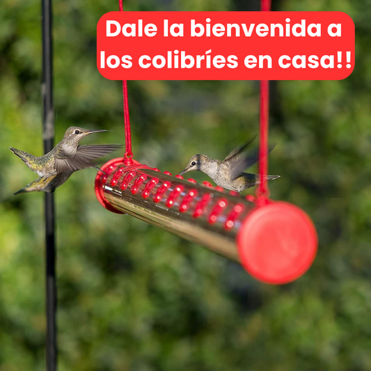 Barra para Colibríes al Exterior: Tu Ventana al Milagro de la Naturaleza