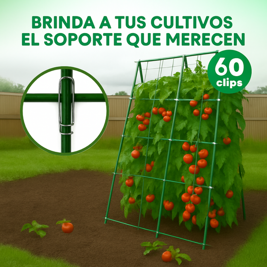¡Adiós plantas caídas! Sujeta, protege y maximiza tu cosecha: EcoClip PRO® x 60 unds