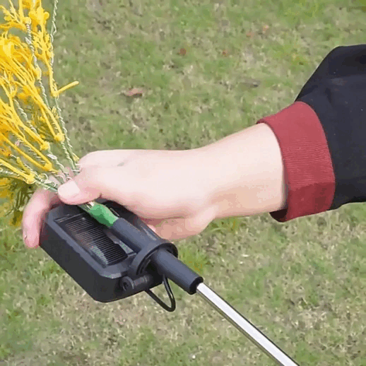 Magia solar: Ilumina tu jardín sin cables, sin gasto de luz y con un ambiente mágico todas las noches