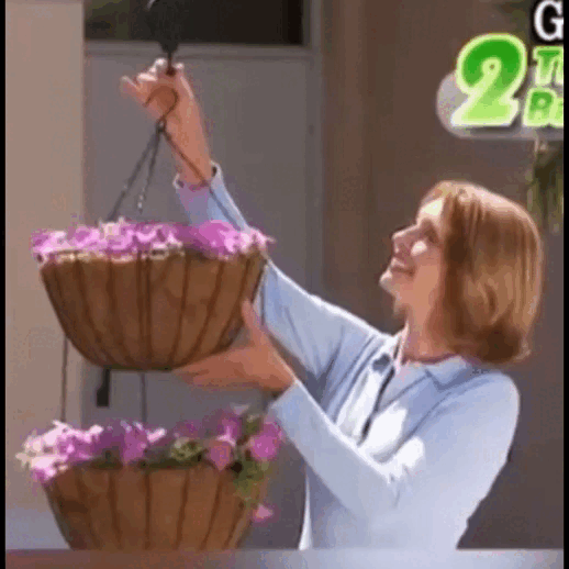 🌳Juego de poleas para plantas, macetas, cestas de jardín y comederos para pájaros, Set x 2