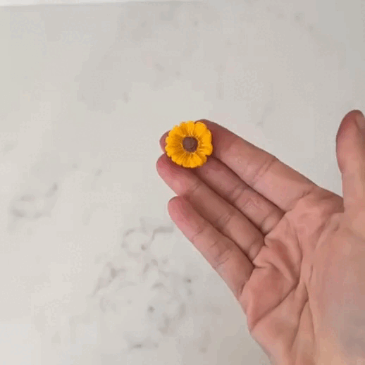 Kit moldes mini flores x4