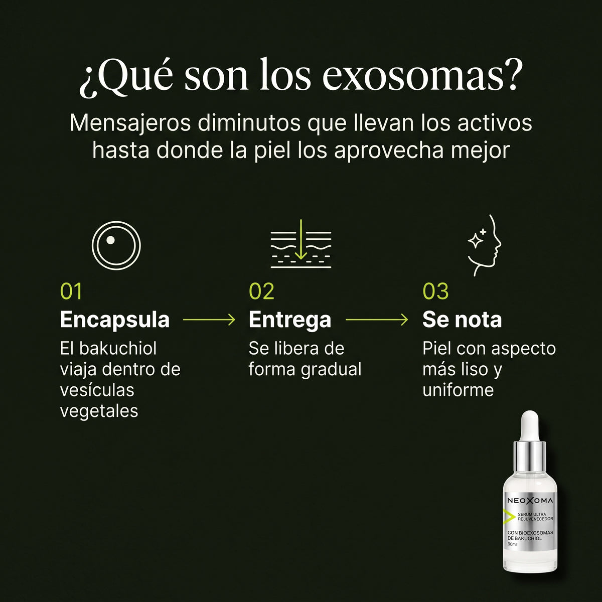 Neoxoma Sérum de Exosomas con Bakuchiol 1 % – Ultra Rejuvenecedor 30 ml
