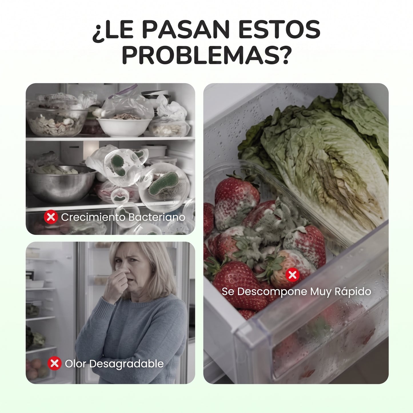 Esterilizador de nevera