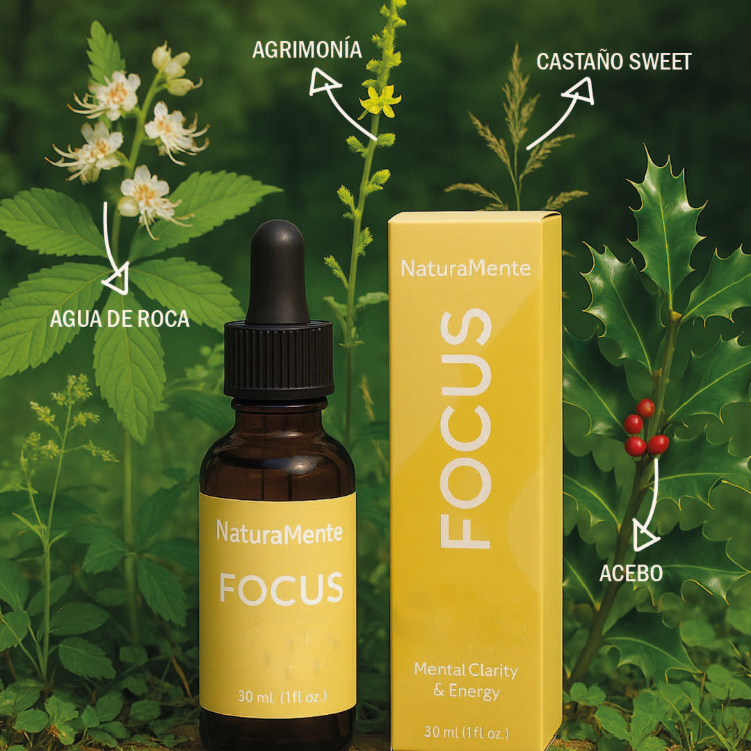 NaturaMente® : ingredientes esenciales que te ayudarán a mejorar el estado de ánimo, la claridad y la concentración