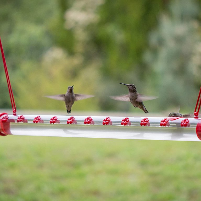 Santuario Colibrí™ | Comedero para Colibríes de 14 Flores